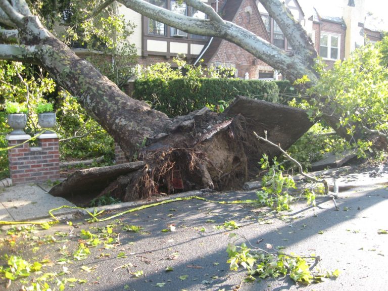 wind damages in Redding California