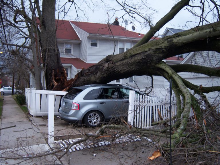 wind damage in Northern California